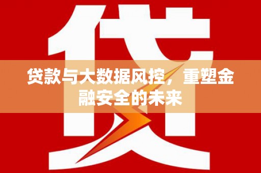 岱岳贷款与大数据风控，重塑金融安全的未来