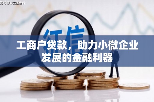 阿莲工商户贷款,助力小微企业发展的金融利器 阿莲工商户贷款,助力小微企业发展的金融利器