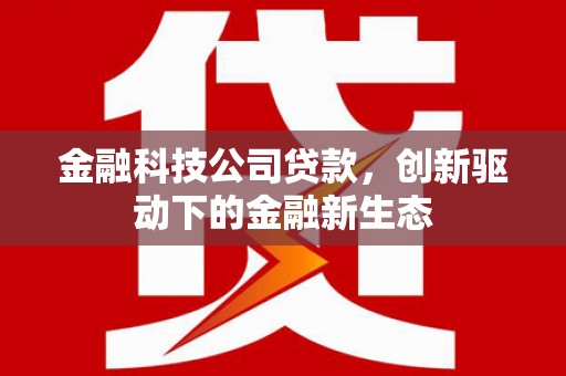 庄浪金融科技公司贷款，创新驱动下的金融新生态