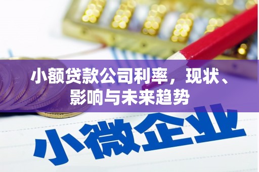 杭锦后旗小额贷款公司利率，现状、影响与未来趋势