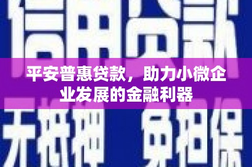 广水平安普惠贷款，助力小微企业发展的金融利器