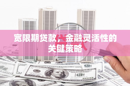 竹东宽限期贷款，金融灵活性的关键策略