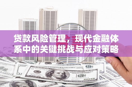 遂宁贷款风险管理，现代金融体系中的关键挑战与应对策略