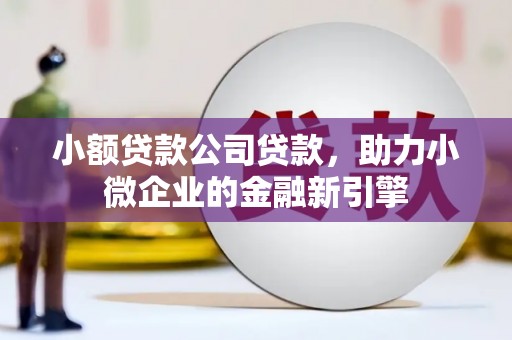 观音小额贷款公司贷款，助力小微企业的金融新引擎