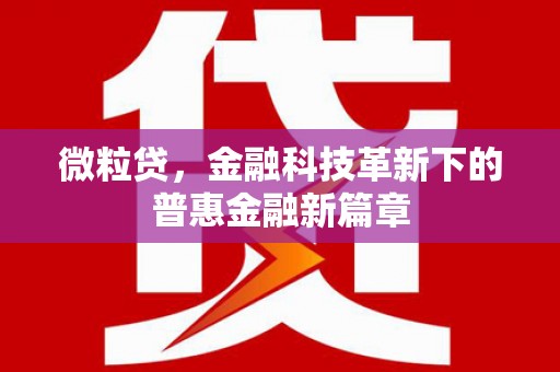 伊宁微粒贷，金融科技革新下的普惠金融新篇章