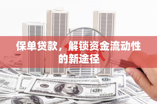 桐城保单贷款，解锁资金流动性的新途径
