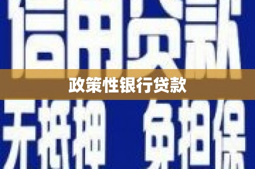 莱城政策性银行贷款