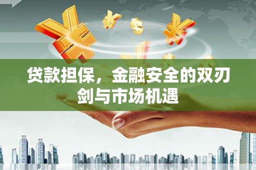 分宜贷款担保，金融安全的双刃剑与市场机遇