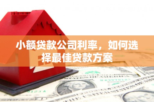 依兰小额贷款公司利率，如何选择最佳贷款方案