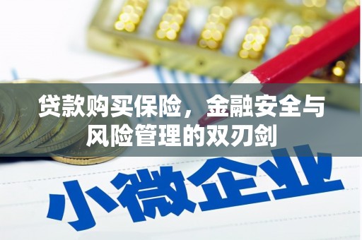 石排贷款购买保险，金融安全与风险管理的双刃剑