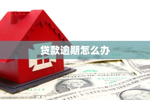 镇原贷款逾期怎么办