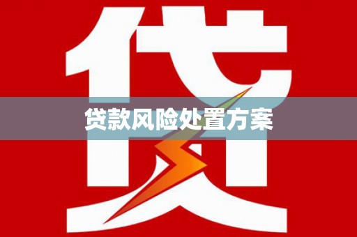 宁晋贷款风险处置方案