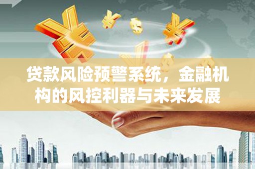 大涌贷款风险预警系统，金融机构的风控利器与未来发展