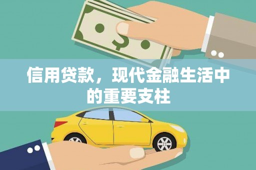 定陶信用贷款，现代金融生活中的重要支柱