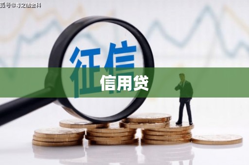 普陀信用贷
