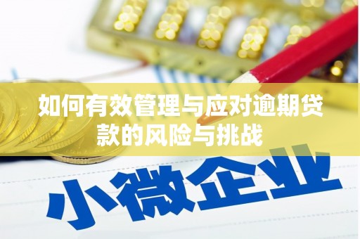 夏县如何有效管理与应对逾期贷款的风险与挑战