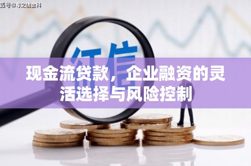 邵东现金流贷款，企业融资的灵活选择与风险控制