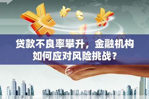 吉县贷款不良率攀升，金融机构如何应对风险挑战？