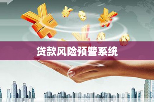 金湖贷款风险预警系统