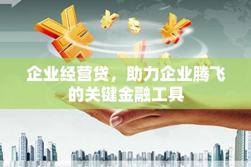 长寿企业经营贷，助力企业腾飞的关键金融工具