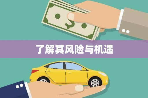 如皋了解其风险与机遇