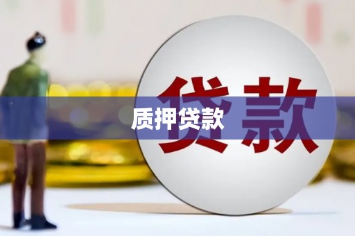 东西湖质押贷款
