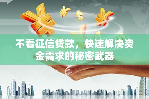 新野不看征信贷款，快速解决资金需求的秘密武器