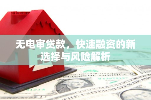 阿巴嘎旗无电审贷款，快速融资的新选择与风险解析