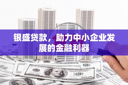 汝南银盛贷款，助力中小企业发展的金融利器