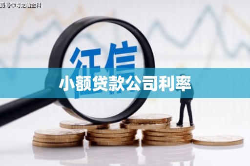 兴安小额贷款公司利率