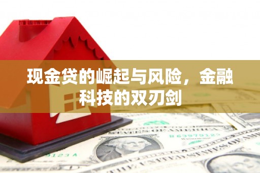 石鼓现金贷的崛起与风险，金融科技的双刃剑