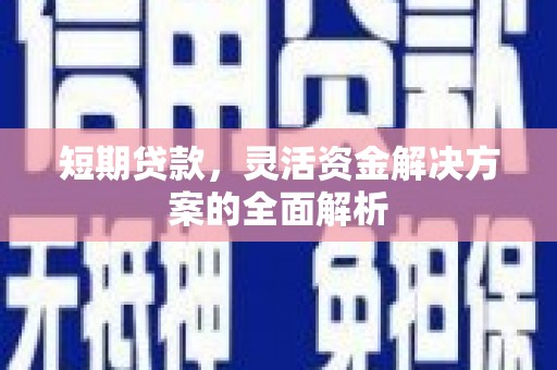 崖州短期贷款，灵活资金解决方案的全面解析