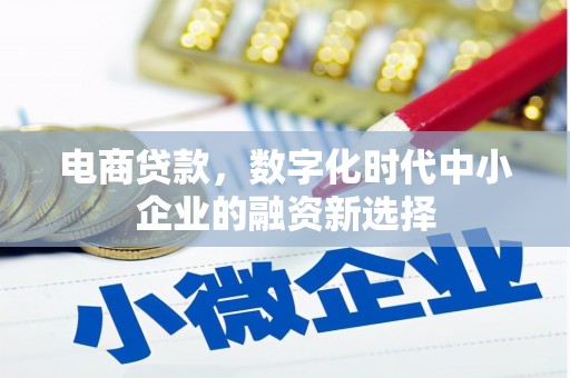 施甸电商贷款，数字化时代中小企业的融资新选择