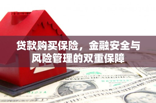 大里贷款购买保险，金融安全与风险管理的双重保障