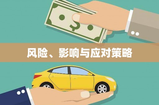 连南风险、影响与应对策略