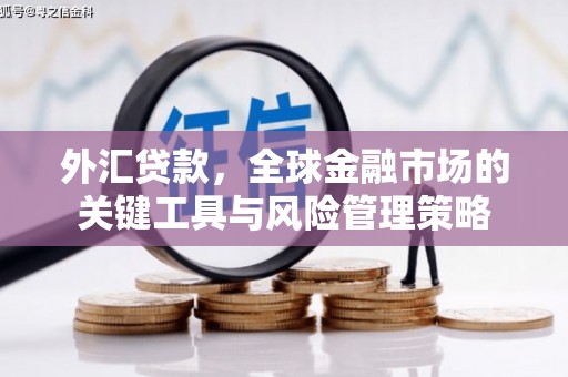 梁山外汇贷款，全球金融市场的关键工具与风险管理策略