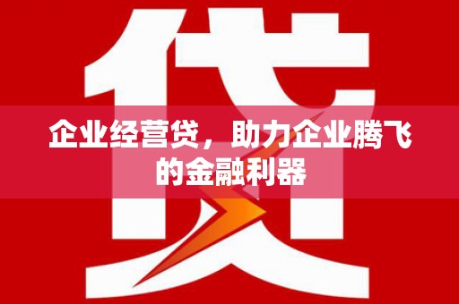 班玛企业经营贷，助力企业腾飞的金融利器