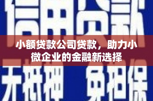 埌东小额贷款公司贷款，助力小微企业的金融新选择