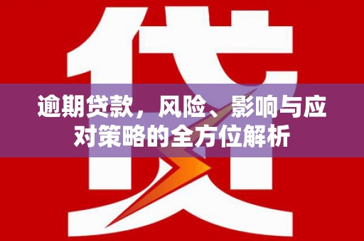 成武逾期贷款，风险、影响与应对策略的全方位解析