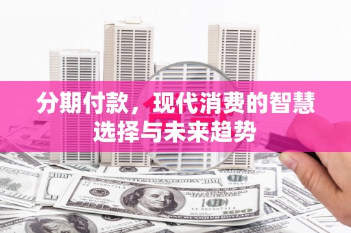 新园分期付款，现代消费的智慧选择与未来趋势