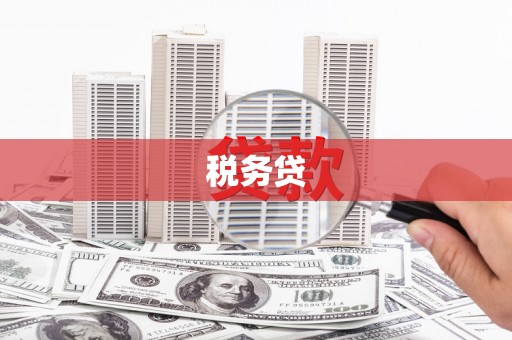 当涂税务贷