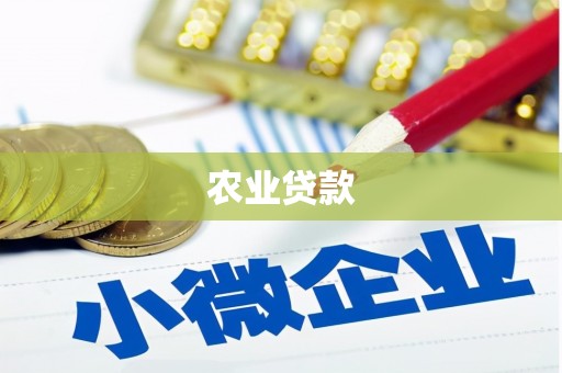 任县农业贷款