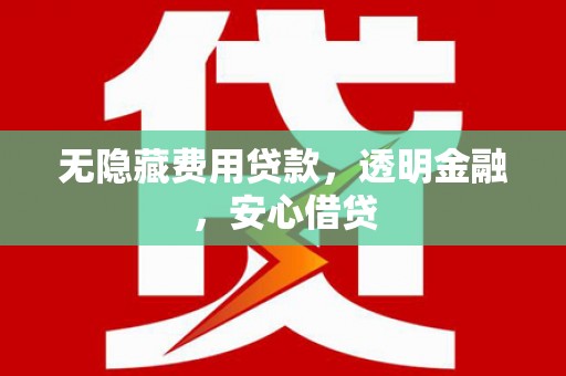 津南无隐藏费用贷款，透明金融，安心借贷