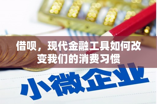 洛宁借呗，现代金融工具如何改变我们的消费习惯