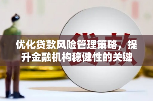 嘉荫优化贷款风险管理策略，提升金融机构稳健性的关键