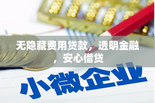 金秀无隐藏费用贷款，透明金融，安心借贷