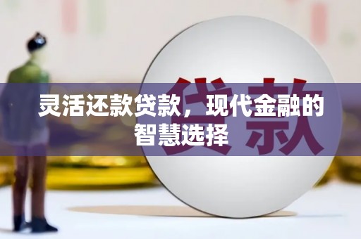 龙岗灵活还款贷款，现代金融的智慧选择
