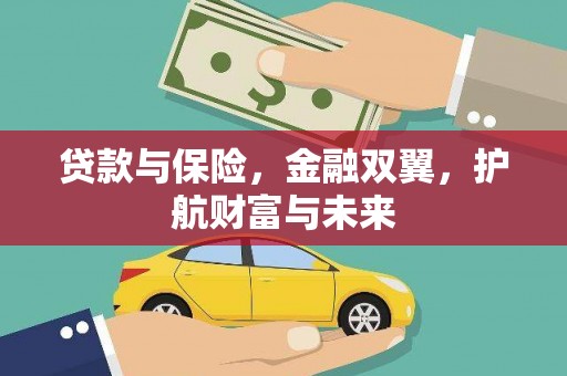 新抚贷款与保险，金融双翼，护航财富与未来