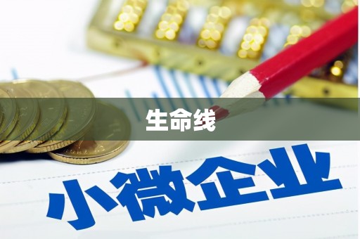 忠县生命线