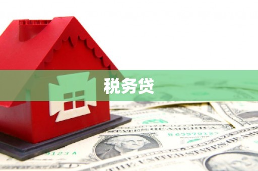 狮子税务贷